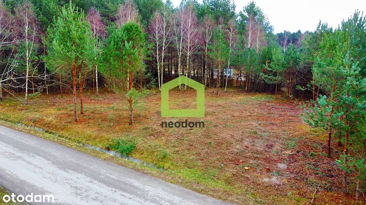 Działka budowlana | Radlin | Ogrodzenie-0