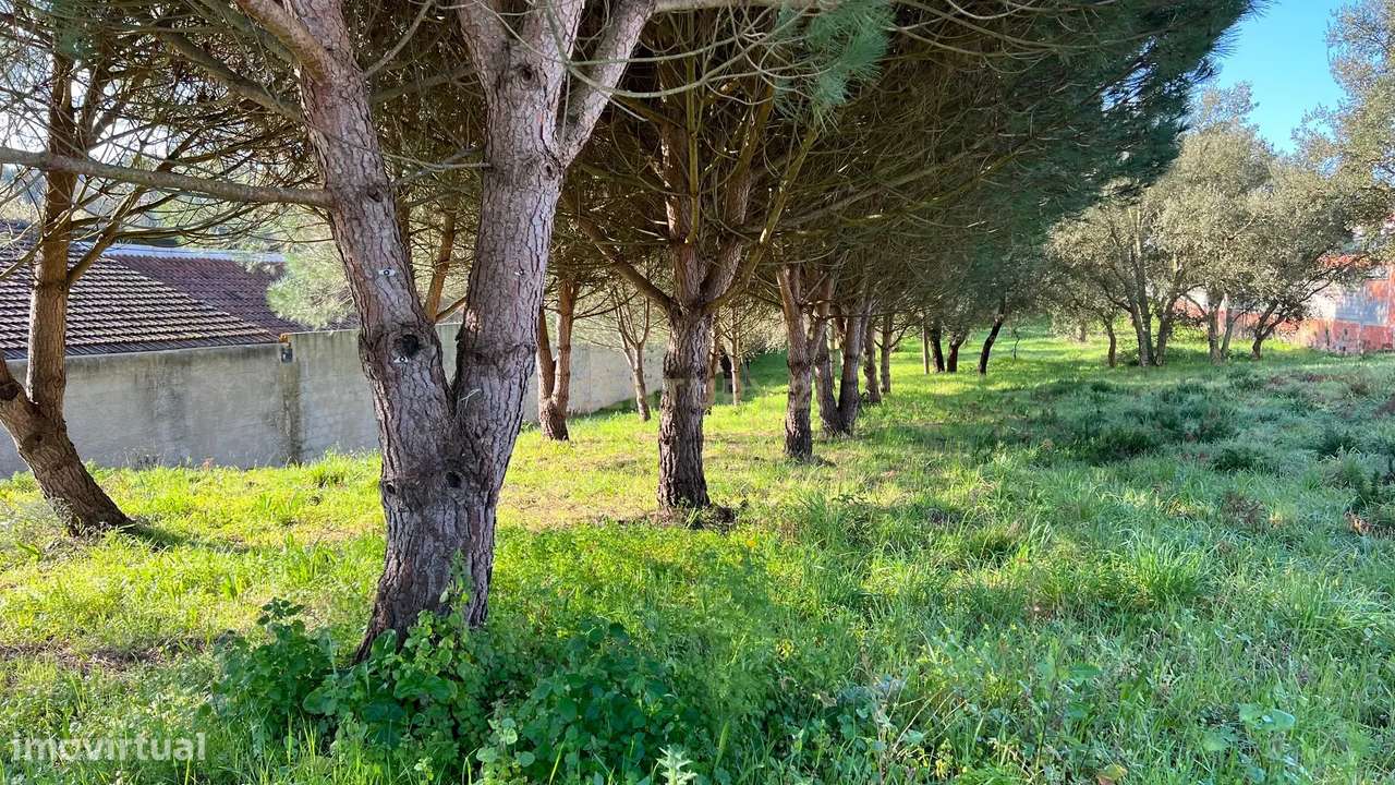 TERRENO RUSTICO - URBANIZAVEL - Grande imagem: 4/8