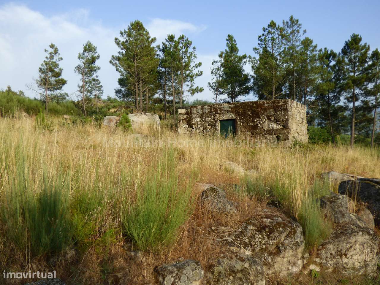 Quintinha  Venda em Ribamondego,Gouveia - Grande imagem: 1/6
