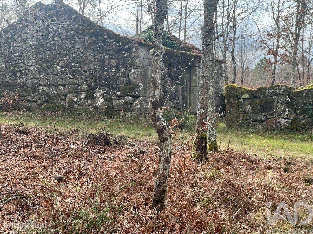 Terreno em Carvalhais e Candal de 26258,00 m2 - Grande imagem: 4/15