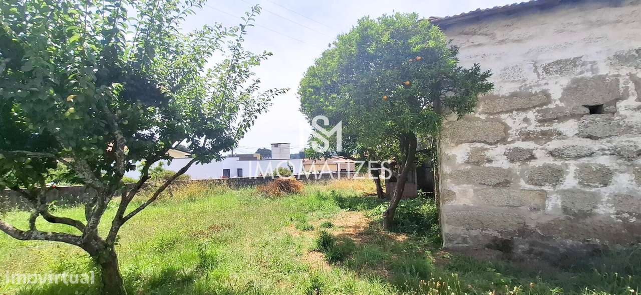 Moradia T3 isolada para reabilitação total - São Romão do Coronado-25