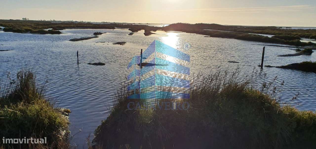 Apartamento T2  +1 com Varandas e Lugar Garagem-9