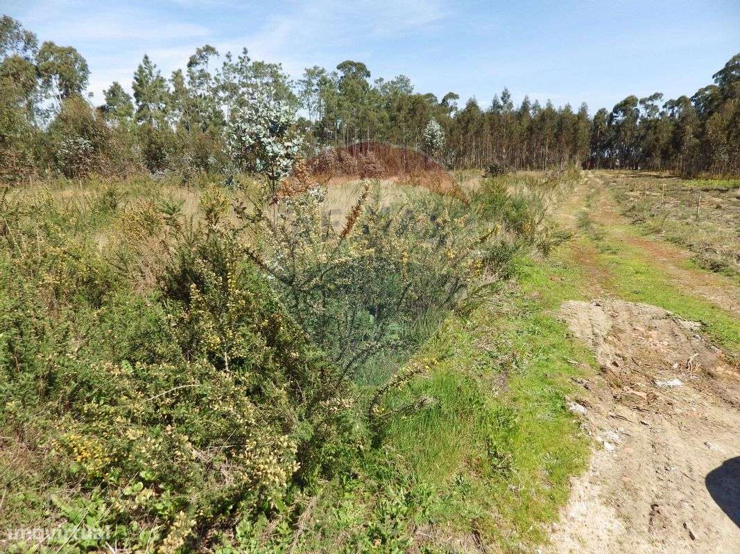 Terreno  para venda - Grande imagem: 3/11