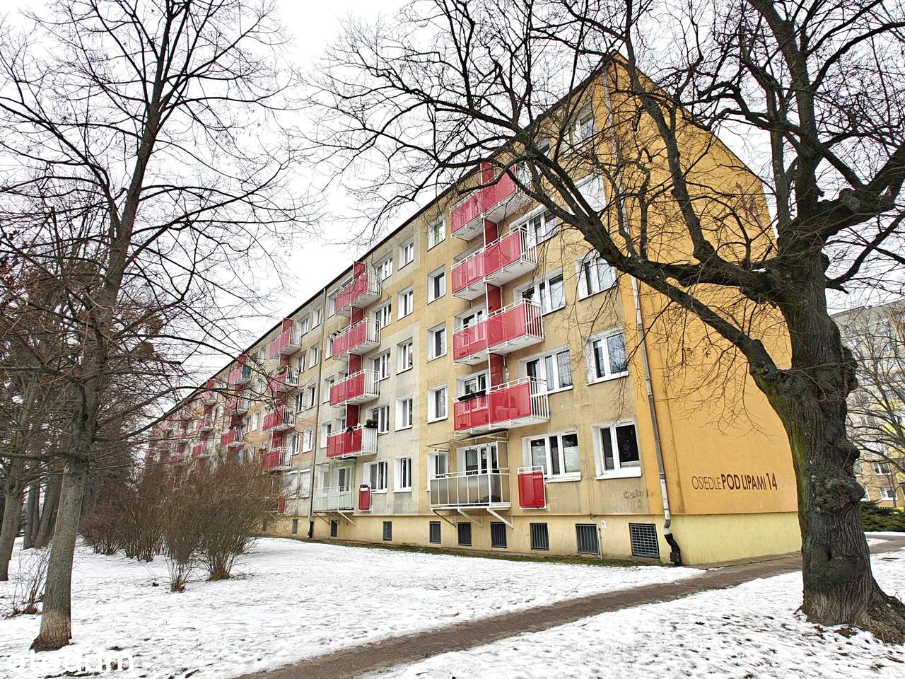 Winogrady, 2/3 pokoje, niski blok, parter, kratka balkonowa, piwnica