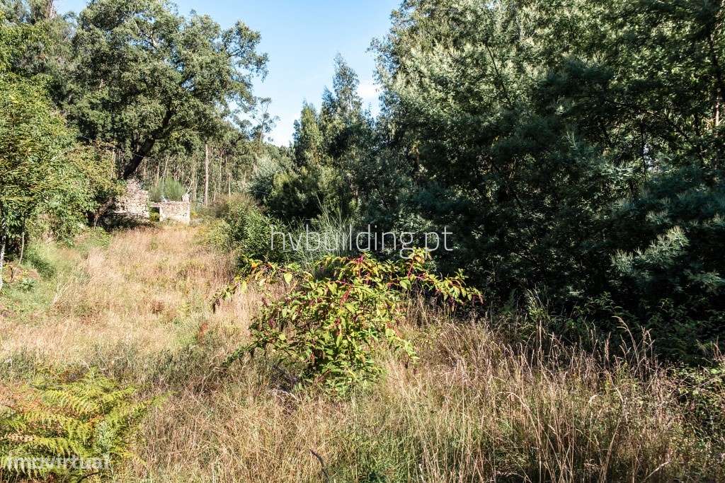 BAIXA DE PREÇO - Moradia para restauro + terreno em Aguiar, Barcelos - Grande imagem: 4/17