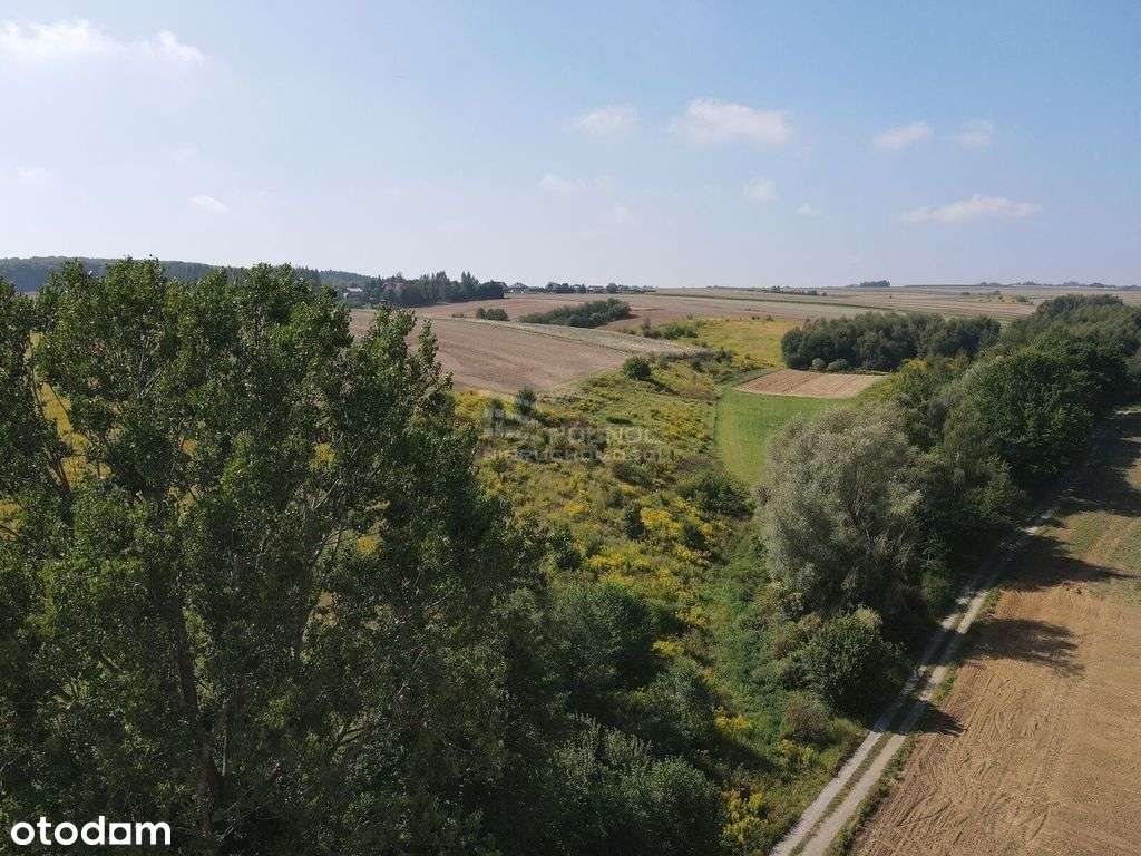 Działka koło Skały, trasa Kraków - Pełny obrazek: 2/2