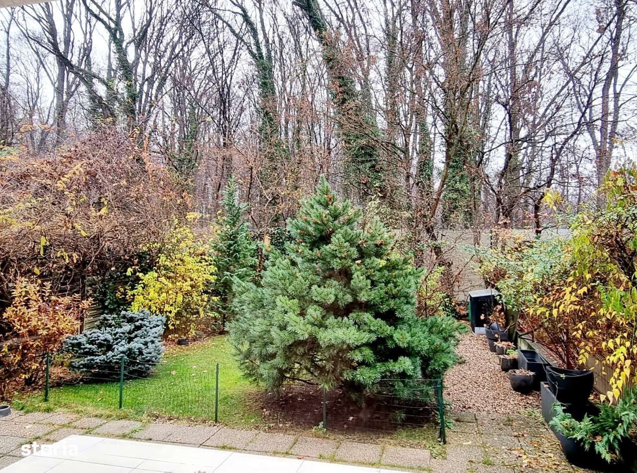 Teren locatie premium langa padure, 369mp in Baneasa, S 1, Bucuresti - Imagine principală: 4/4