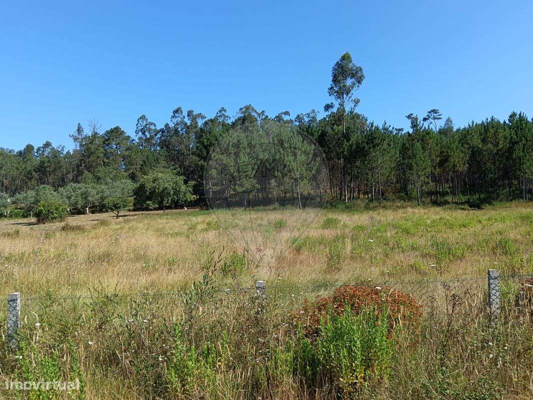 Terreno  para venda - Grande imagem: 3/4