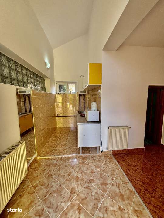 Casa individuala - zona Calea Dumbravii - 2 intrari separate-15