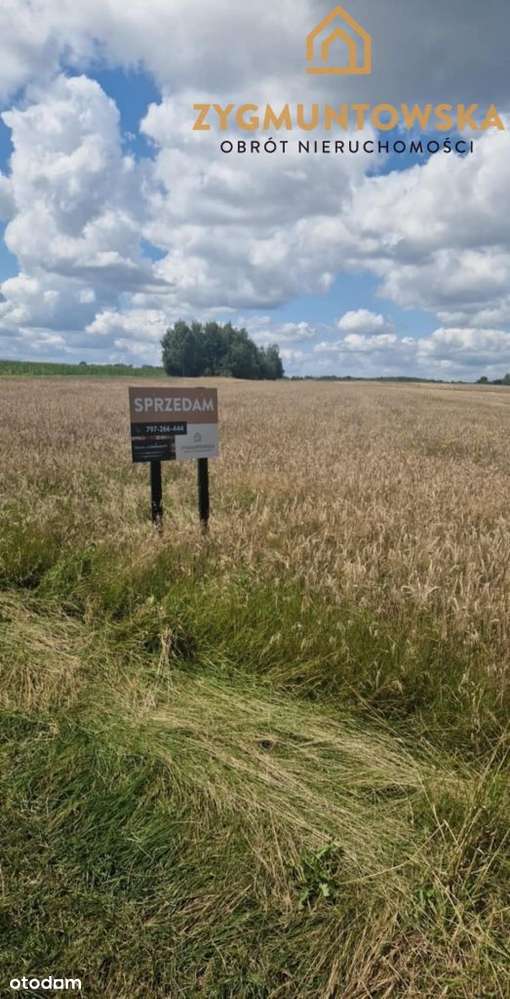 Działki rolne w Miedznej Drewnianej - Pełny obrazek: 4/4