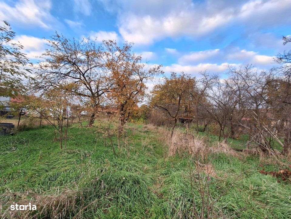 Casa individuala de vanzare cu livada si teren generos in Luna de Sus - Imagine principală: 5/6