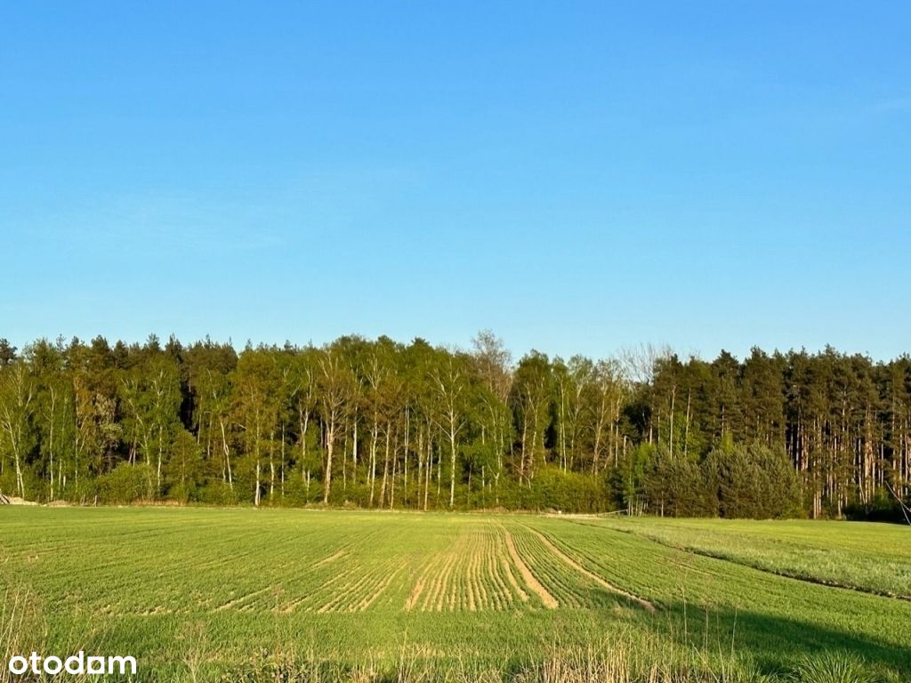 Działki budowlane dla miłośników natury