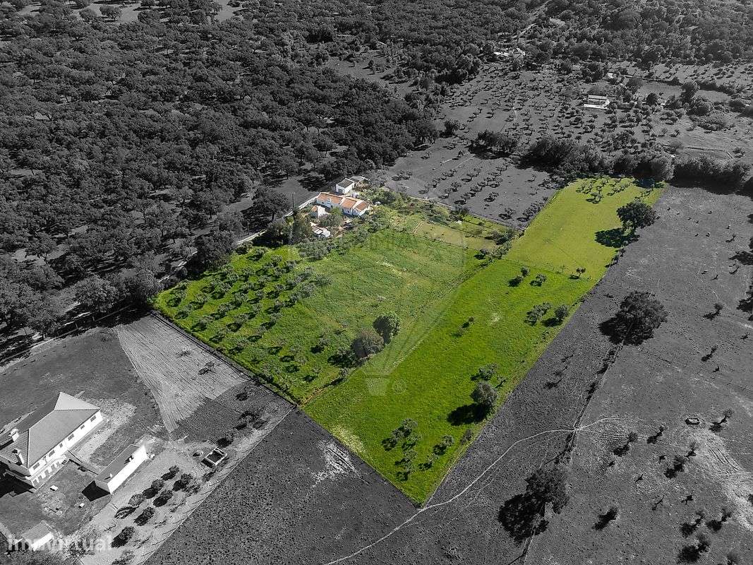 Quinta T6 para venda-10