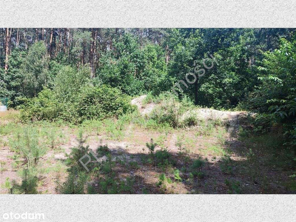 Piękna działka idylliczny krajobraz - Pełny obrazek: 5/13