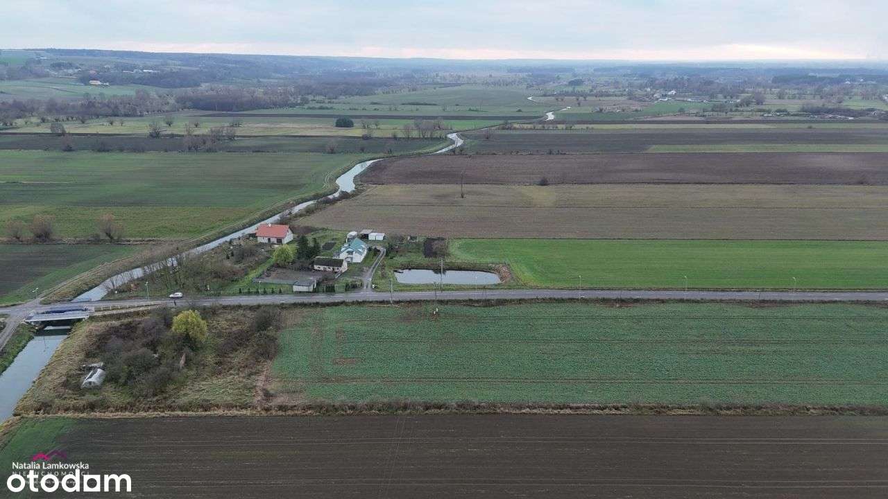 Szynych*działka rolna z możliwością podziału - Pełny obrazek: 3/5