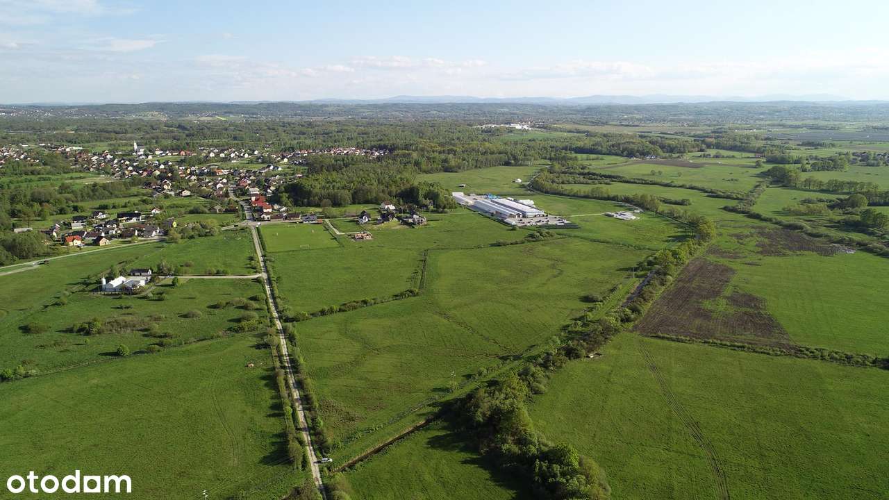 DZIAŁKA INWESTYCYJNA 6,03 ha – Borek (gm. Rzezawa) | MPZP | A4 10,5 km - Pełny obrazek: 3/6