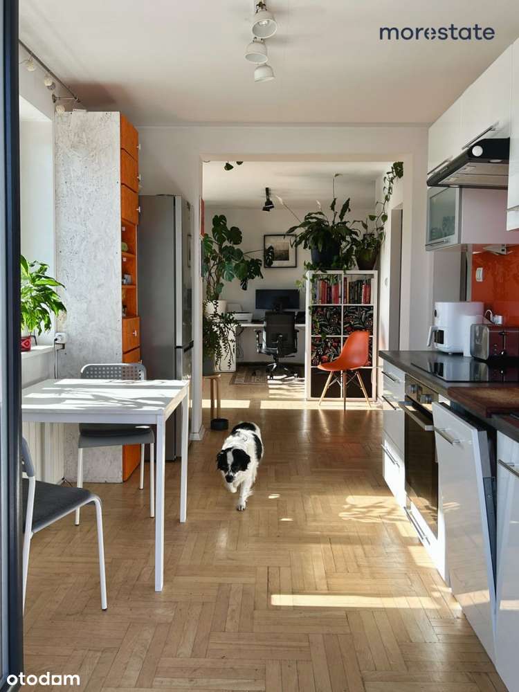 Dom wolnostojący z 3 niezależnymi mieszkaniami-16