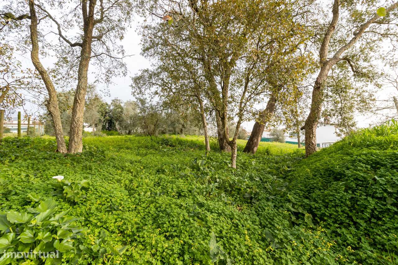 Terreno Urbano || Andrinos || Leiria - Grande imagem: 5/5