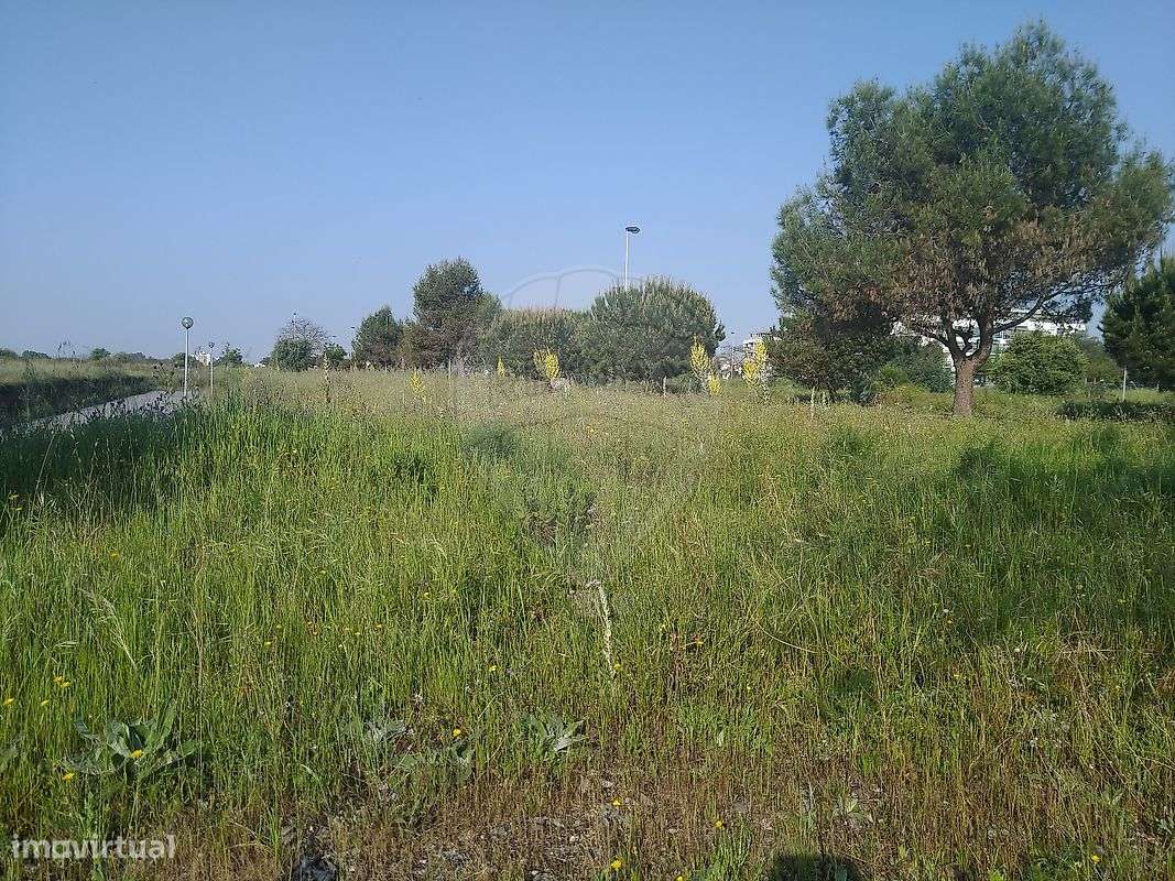 Terreno  para venda - Grande imagem: 3/15