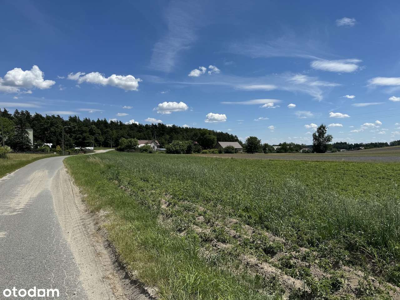 Działka budowlana z własnym lasem i asfaltowym dojazdem, media!-10