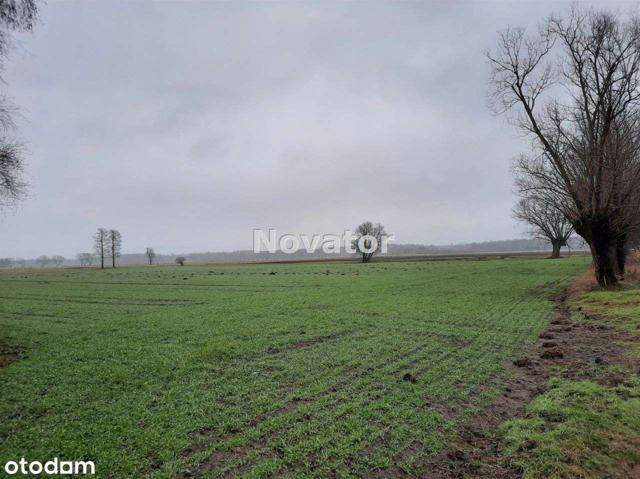 Działka rolna o pow. 3002m2 w Łachowie gm. Szubin - Pełny obrazek: 5/5