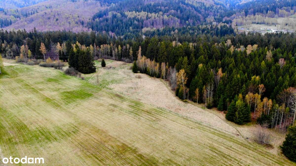 Działki w Sierpnicy - Pełny obrazek: 4/7