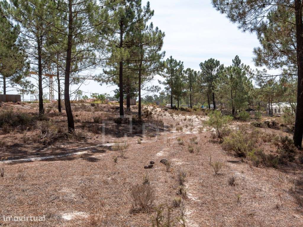 Lote de Terreno inserido no loteamento La Reserve, Carvalhal - Grande imagem: 5/23