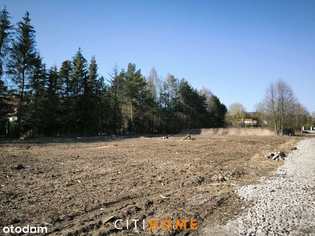 Działka 2.400m2 w Izabeli - Pełny obrazek: 5/9