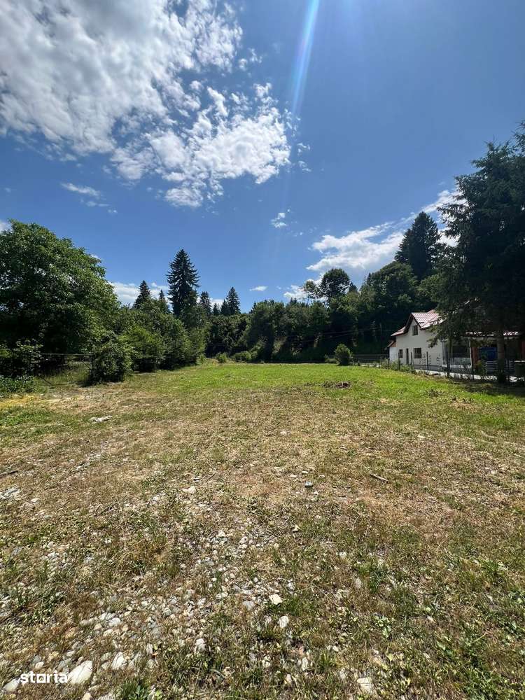 Teren intravilan 1200 mp – Valea Avrigului, Sibiu - Imagine principală: 4/6