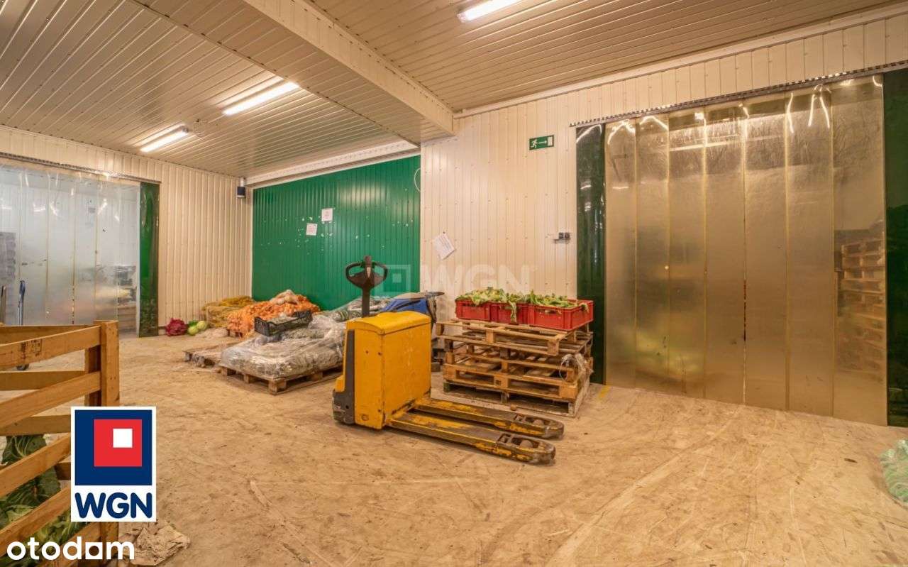 Lokal użytkowy, 284,10 m², Bolesławiec - Pełny obrazek: 4/19