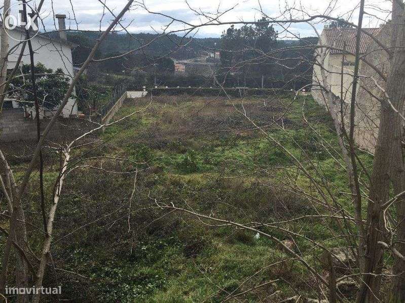 Lote para Construção em Mangualde - Grande imagem: 4/7