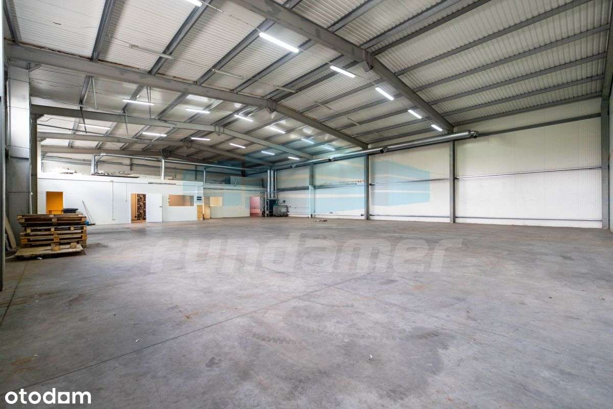 570mkw  magazyn+biuro Dawidy/Ursynów/Puławska/S7 - Pełny obrazek: 4/6