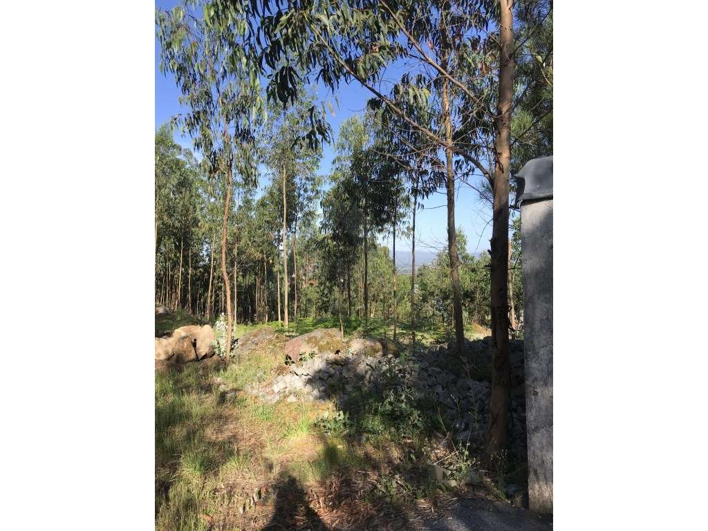 Terreno Rústico - Grande imagem: 2/3