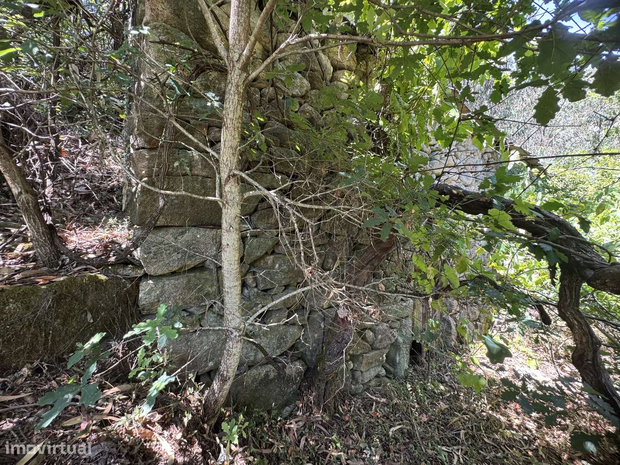 Quinta c/ moradia p/ restaurar – São Pedro do Sul-3