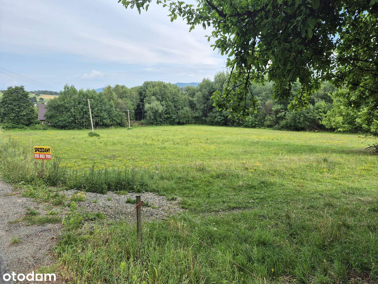 Działka, 4 000 m², Stare Rybie - Pełny obrazek: 5/5