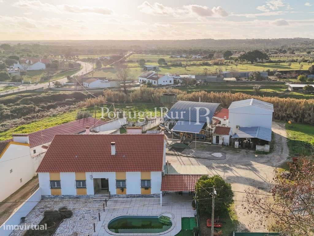 Unidade Industrial de Produção de Azeite & Elevado Potencial Produtivo-7
