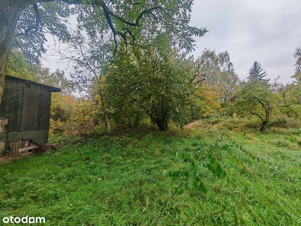 Inwestycja na miarę , nie przegap - Pełny obrazek: 5/20