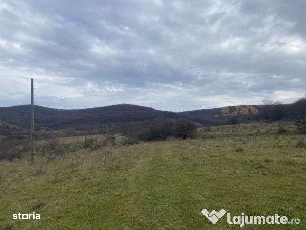 Teren intre Bran si Rasnov, zona in plina dezvoltare-1