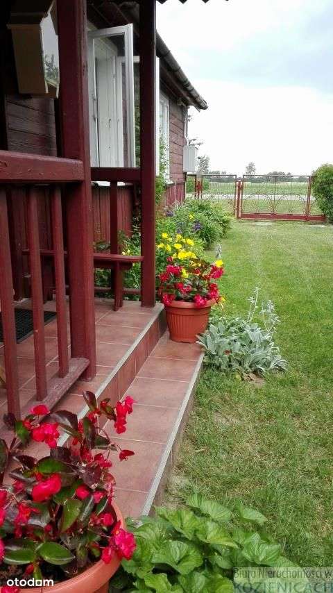 Sieciechów.Sielski dom.-9