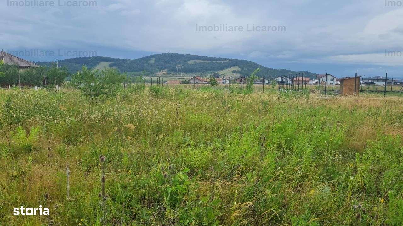 De vanzare teren  502 mp Harman Aleea 14 pret 40000 euro-5