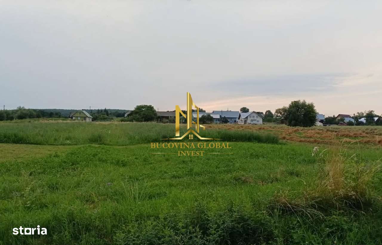 Teren de vânzare în Ilișești- 2900 mp, super preț! - Imagine principală: 2/3