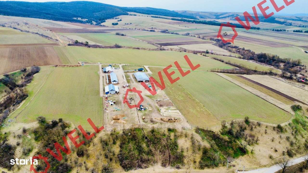 Ferma complet echipată de 22 de hectare de vânzare în Zoltan! - Imagine principală: 2/20