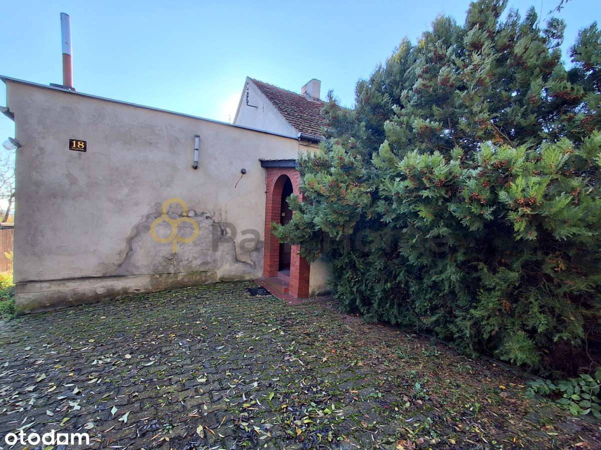 Dom 3 pokoje, ładna działka Dalabuszki k/Gostynia - Pełny obrazek: 2/12