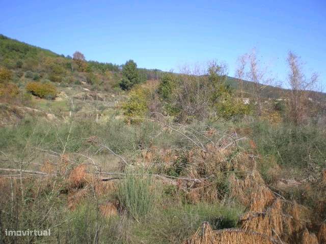 Terreno  Venda em Teixoso e Sarzedo,Covilhã - Grande imagem: 2/3