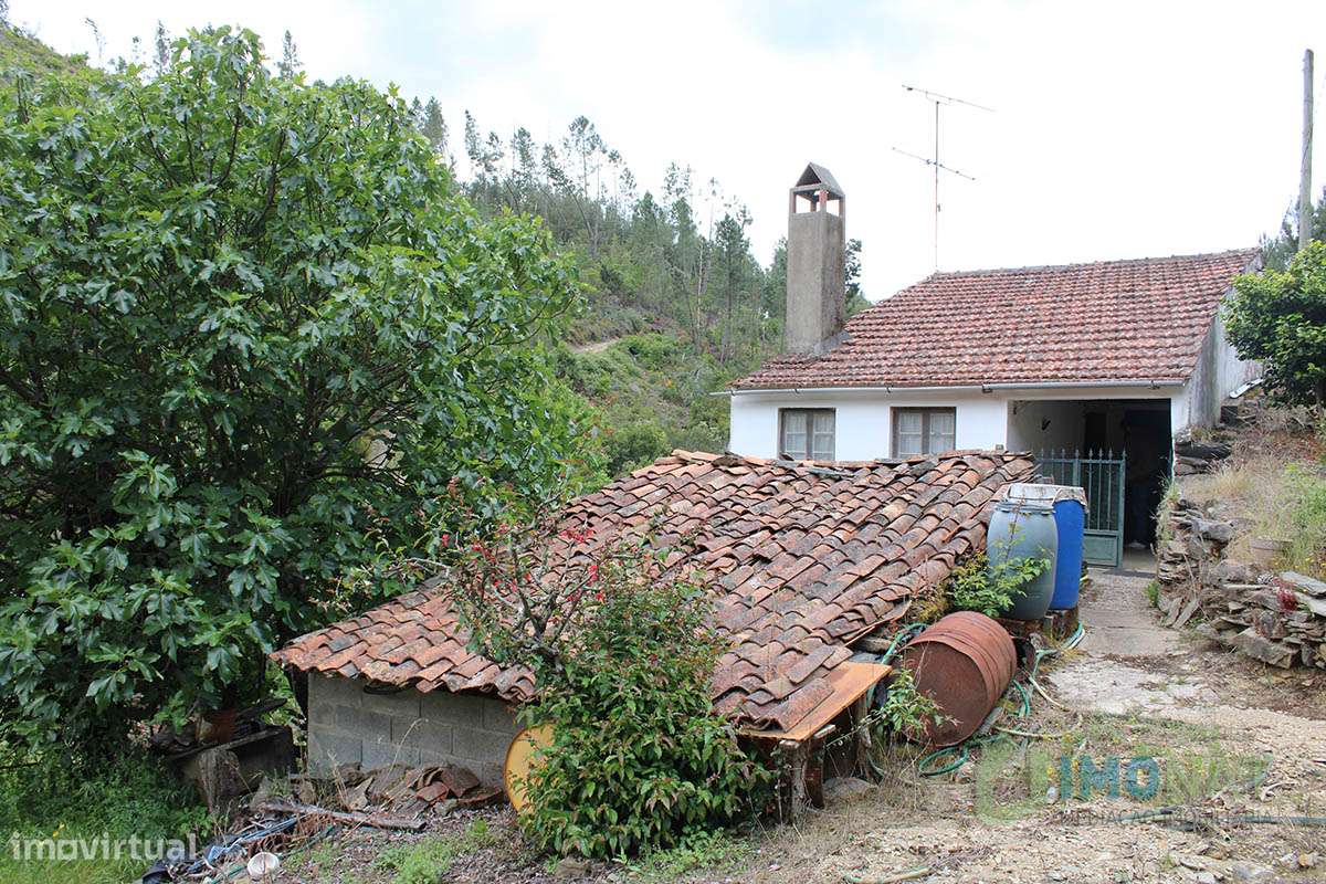 Imóvel Rural-34