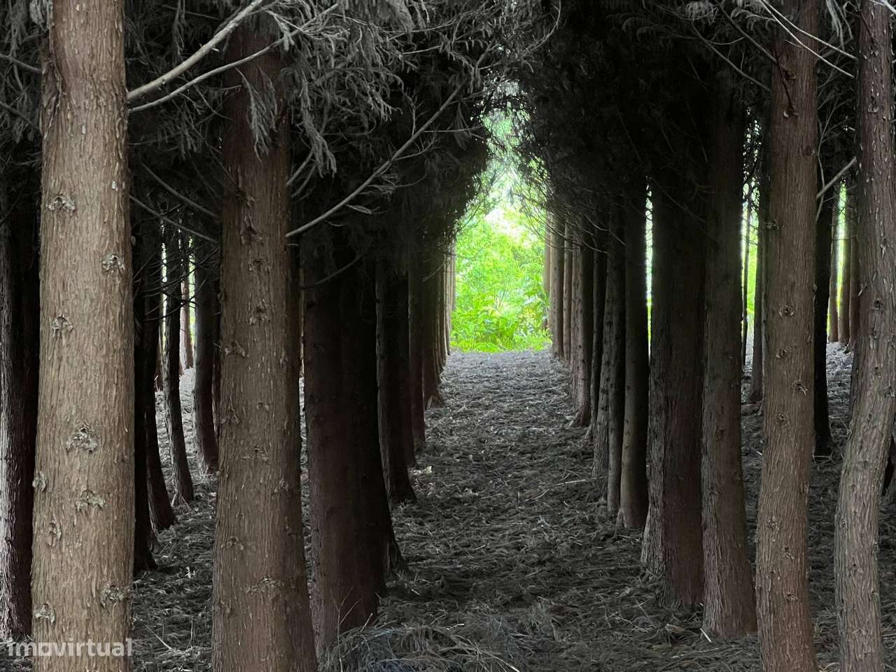Terreno em São Pedro de Nordestinho com Projeto Aprovado-9