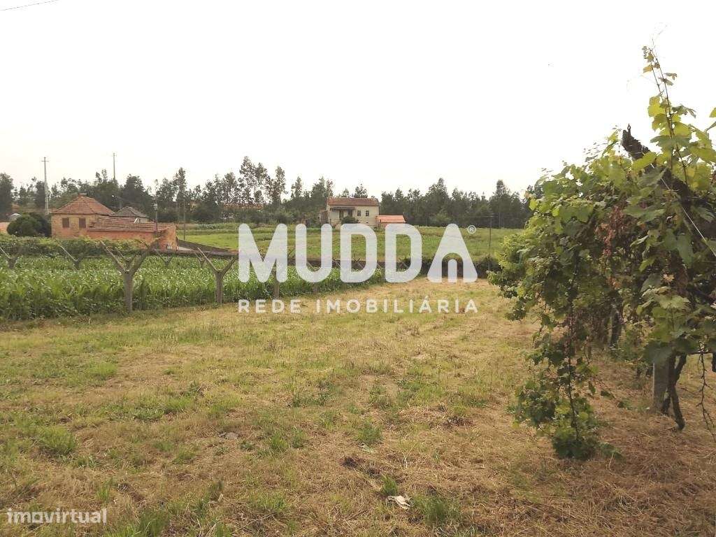 Venda de Terreno para construção, Albergaria-a-Velha, Aveiro - Grande imagem: 3/7