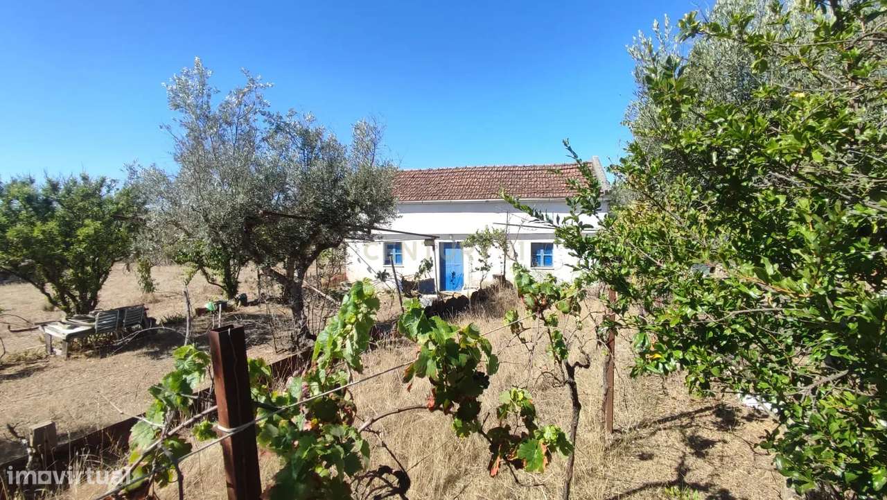 QUINTA NOS ESCALOS DE BAIXO COM 7625 m2 - Grande imagem: 5/29