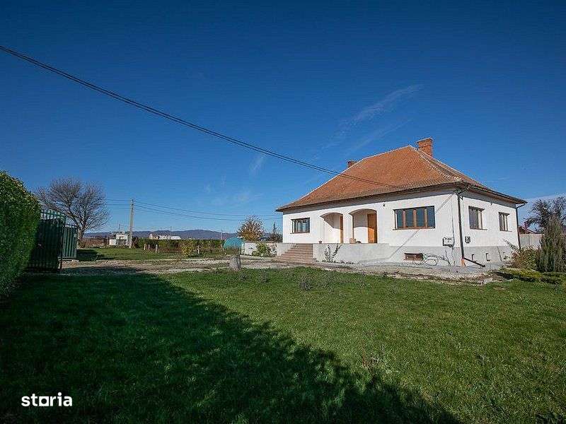 Domeniu de 9000 mp - Ideal pentru Dezvoltare Imobiliară sau Business d - Imagine principală: 5/14