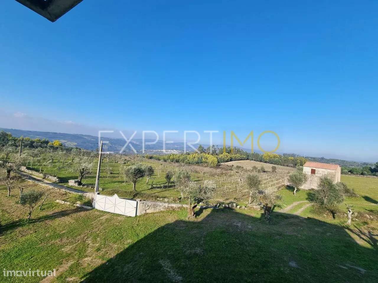 Terrenos vinícolas na região do Dão - Grande imagem: 5/7